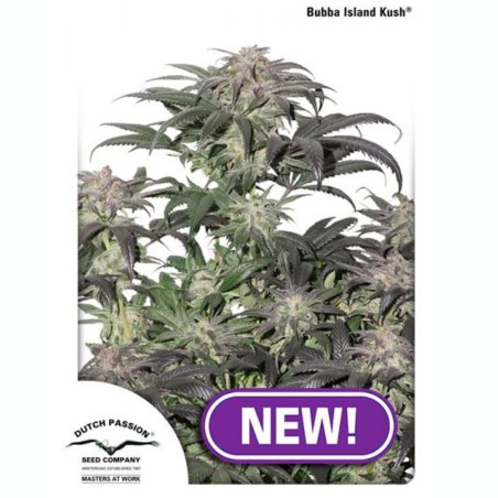 Bubba Island Kush