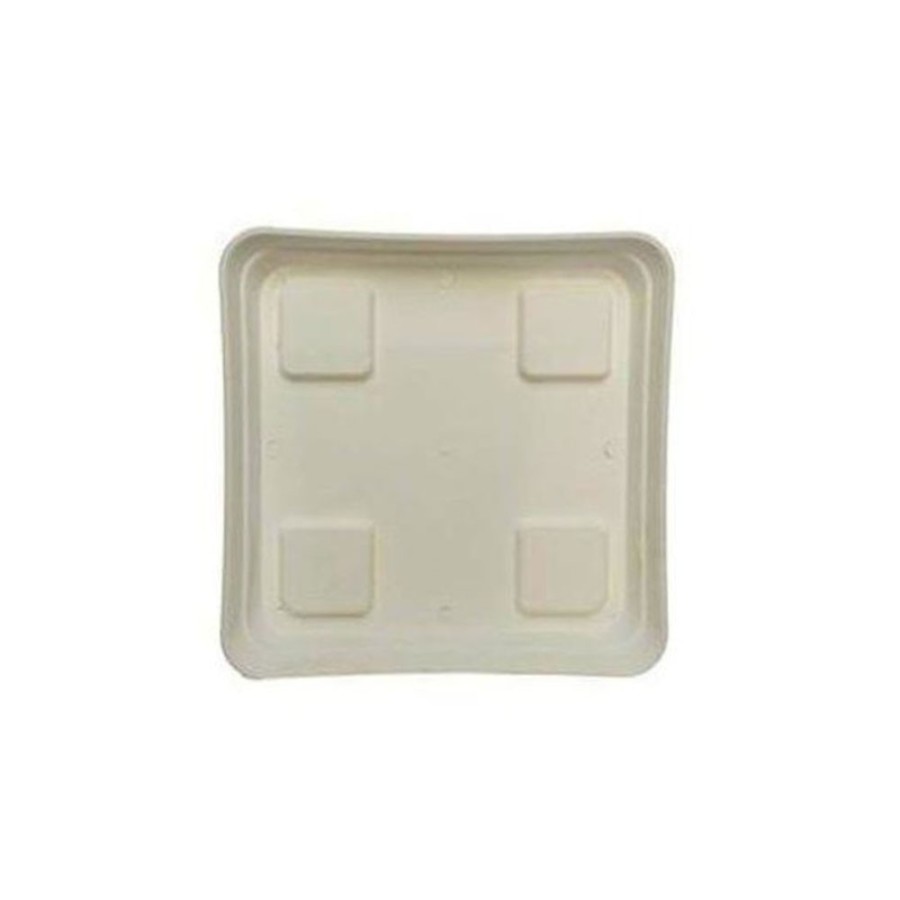 Plato cuadrado 20x20 blanco