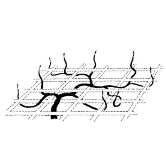 Malla Scrog 2 x 1000 metros verde