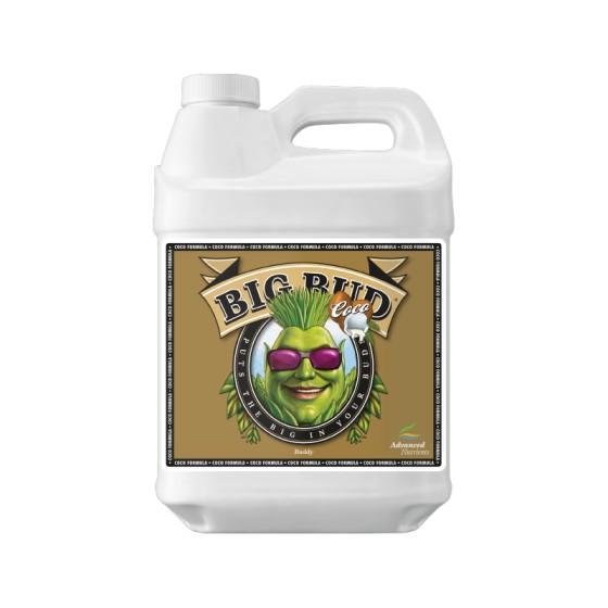 Big Bud Coco – Floración explosiva en cultivos con coco