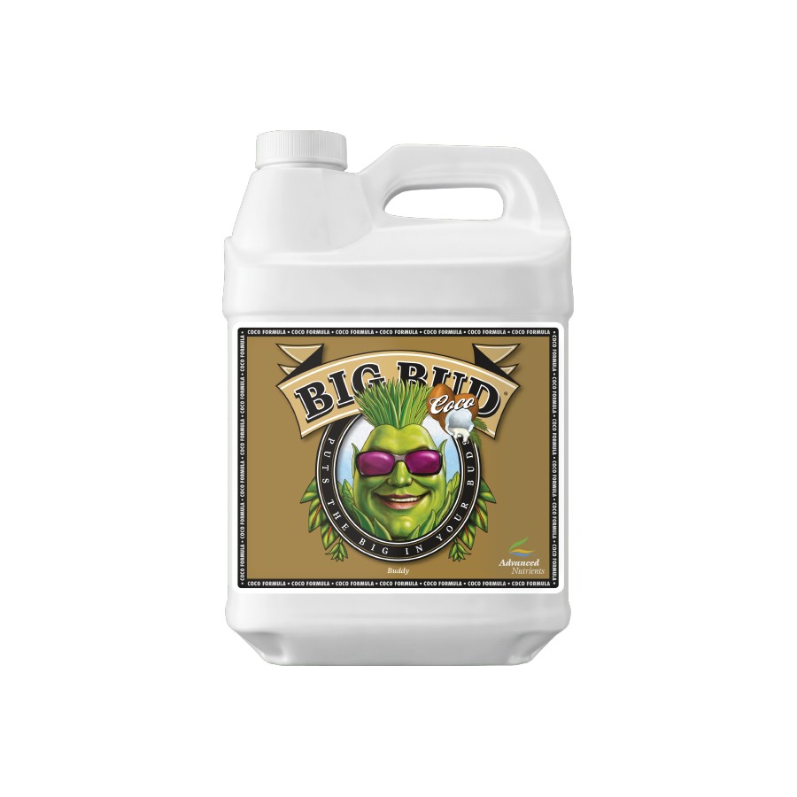 Big Bud Coco – Floración explosiva en cultivos con coco