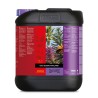 Coco Bloom Stimulator 5 L