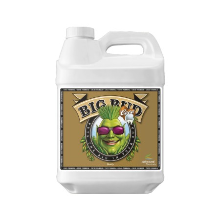 Big Bud Coco – Floración explosiva en cultivos con coco