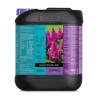 Blossom Builder Liquido 5 L