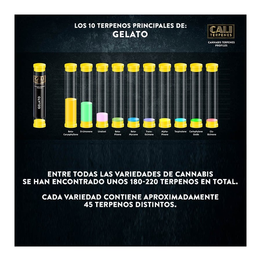 Spray Terpenos Gelato 5ml