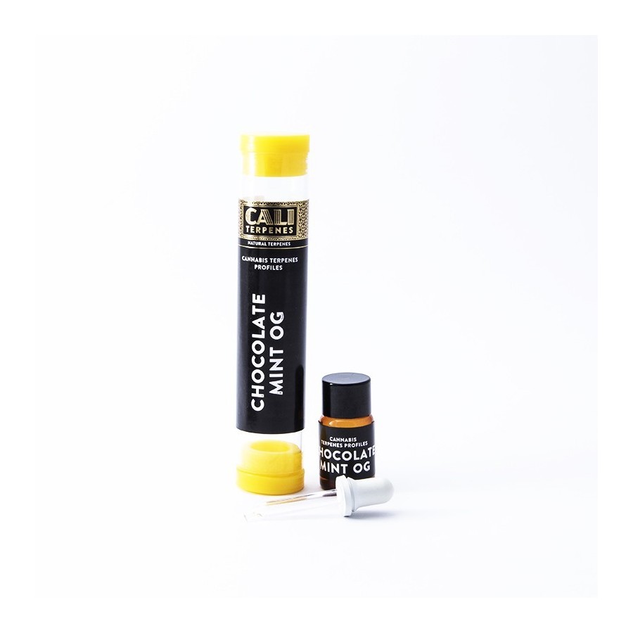 Terpenos Chocolate Mint Og 1ml