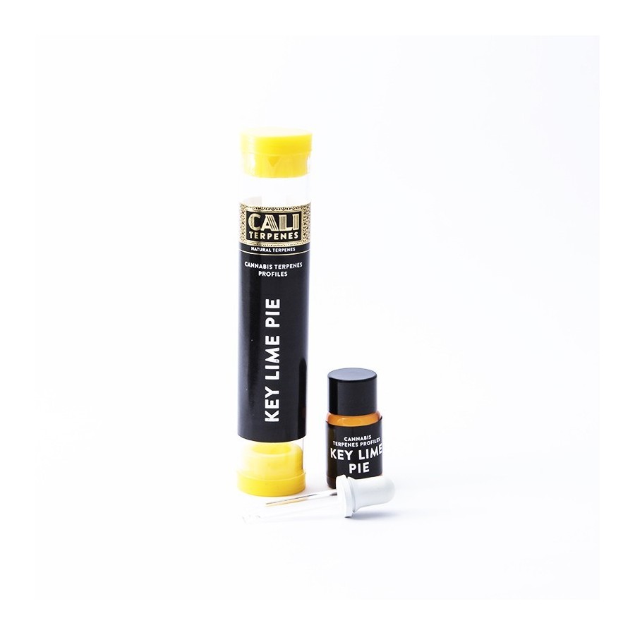 Terpenos Key Lime Pie 1ml