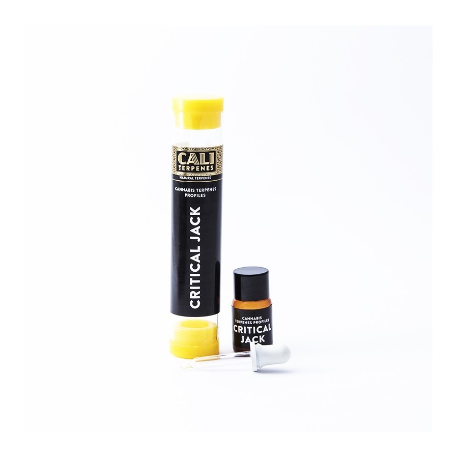 Terpenos Critical Jack 1ml