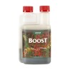 CannaBoost CANNA | Estimulador de floración profesional