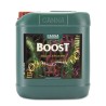 CannaBoost CANNA | Estimulador de floración profesional