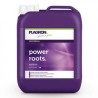 Power Roots 10L