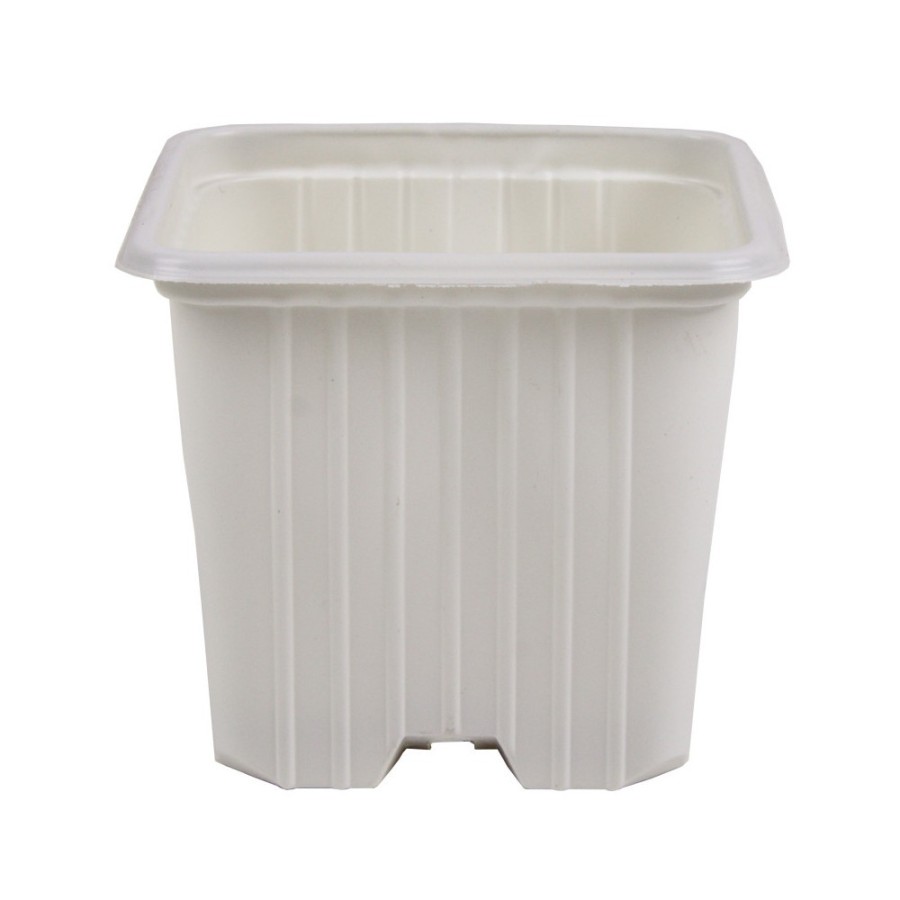 Maceta 7 x 7 x 6 (0,20 L) Serie F