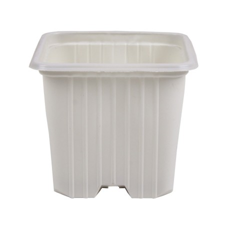 Maceta 7 x 7 x 6 (0,20 L) Serie F