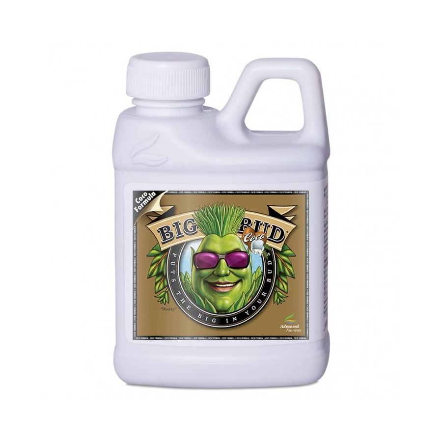Big Bud Coco – Floración explosiva en cultivos con coco