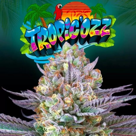 Tropic OZ