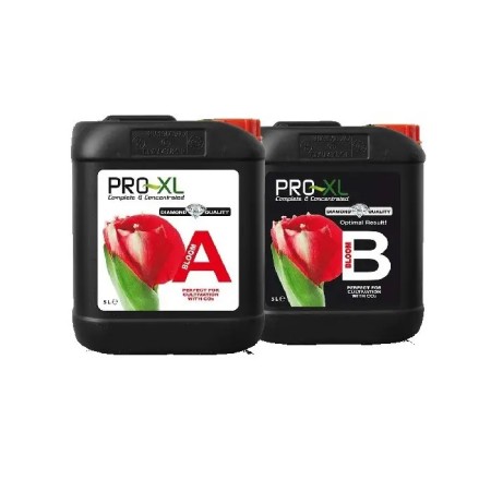 BLOOM A&B 5L | Fertilizante base floración