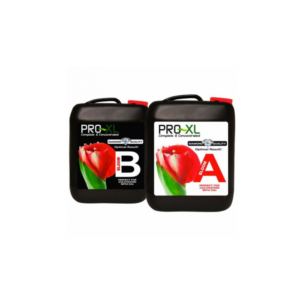 BLOOM A&B 5L | Fertilizante base floración
