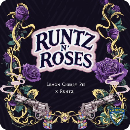 Runtz n Roses