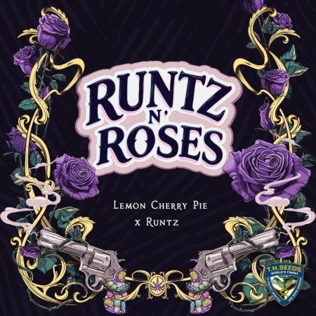Runtz n Roses