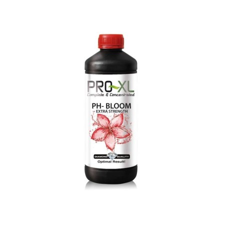 PH- BLOOM 1L