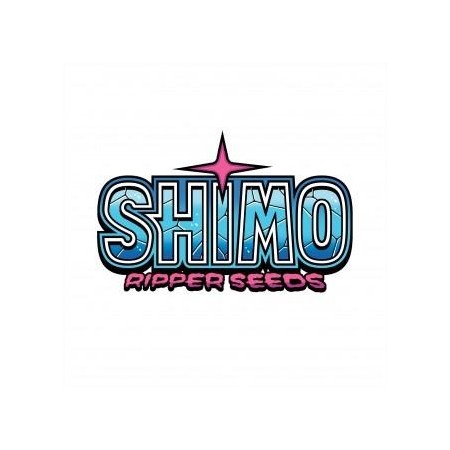 Shimo