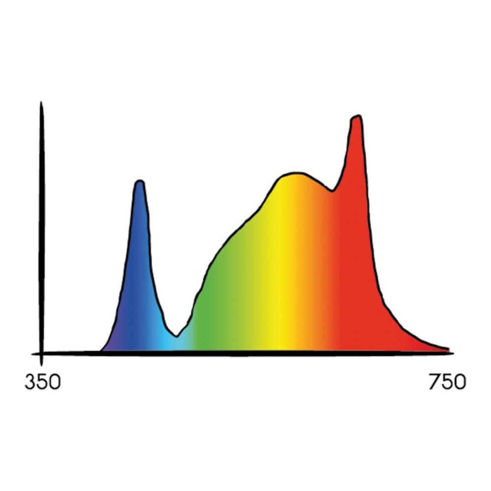 LED Cosmorrow 20W PPE2.4 Bloom