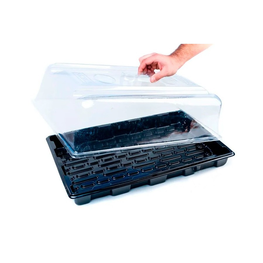 Invernadero mediano 57x37x20cm