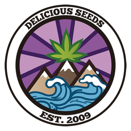 Critical Neville Haze 2.0