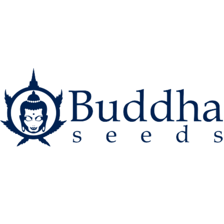 Buddha Purple Kush