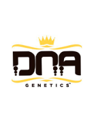 DNA Genetics Semillas de Cannabis | Genética Innovadora y Premiada | MundoKanna