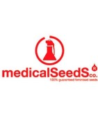 Medical Seeds Semillas de Cannabis | Variedades Medicinales y Terapéuticas | MundoKanna