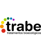 Trabe