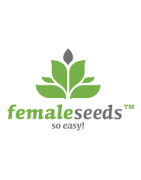 Female Seeds Semillas de Cannabis | Variedades Feminizadas de Alta Calidad | MundoKanna