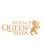 Royal Queen Seeds Semillas de Cannabis | Variedades Feminizadas y Autoflorecientes | MundoKanna