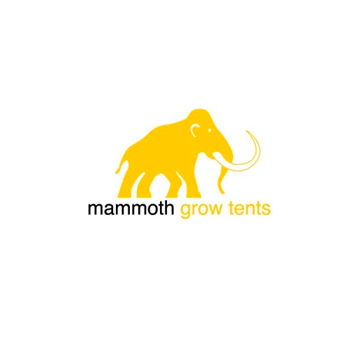 Mammoth