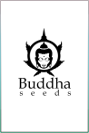 Buddha Seeds