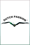Dutch Passion